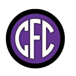 City Futsal Club crest